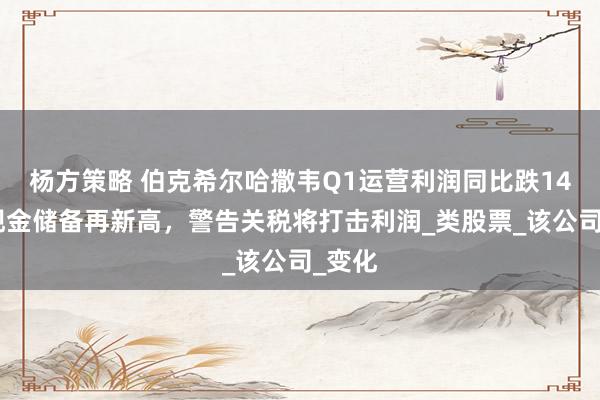 杨方策略 伯克希尔哈撒韦Q1运营利润同比跌14%，现金储备再新高，警告关税将打击利润_类股票_该公司_变化