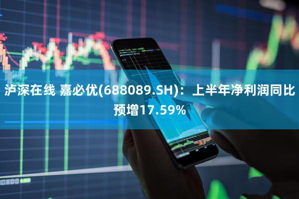 泸深在线 嘉必优(688089.SH)：上半年净利润同比预增17.59%