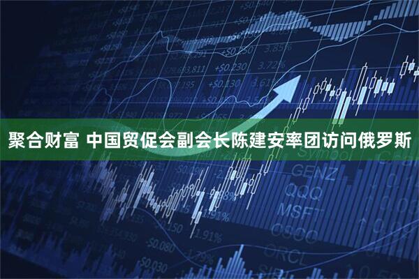 聚合财富 中国贸促会副会长陈建安率团访问俄罗斯